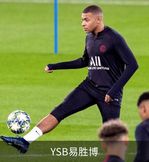 关于YSB易胜博